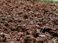 Грунт плодородный, грунт - доставка и продажа нерудных материалов в Обнинске,Жукове,Белоусово,Балабаново,Боровск и Калужской Области